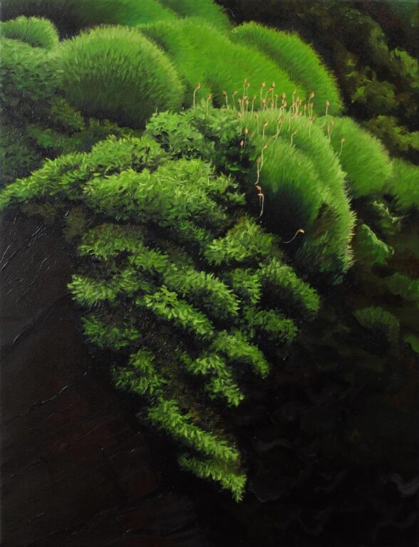 Sporophytes - Lola Cuallado 