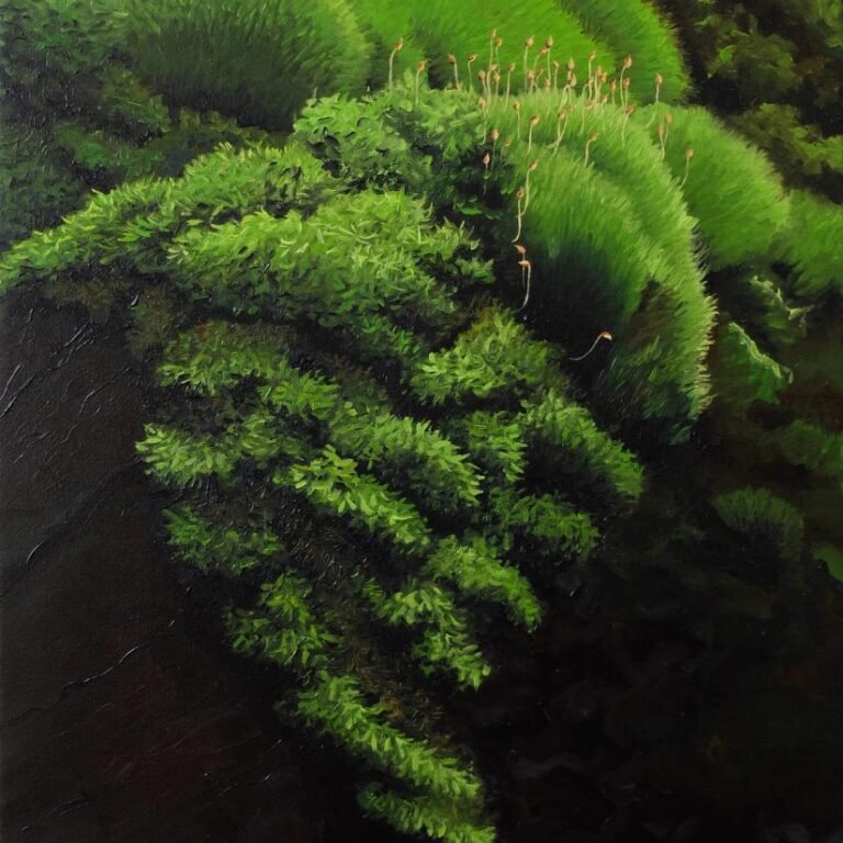 Sporophytes - Lola Cuallado 