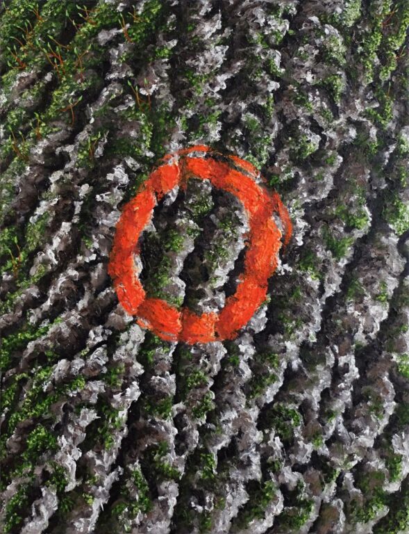 Arbre remarquable - Lola Cuallado 