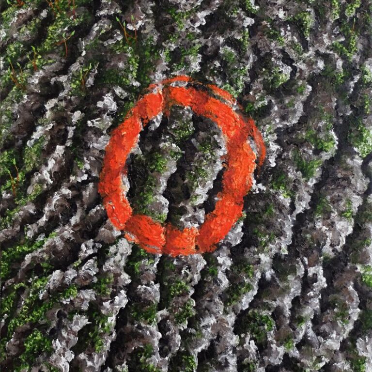 Arbre remarquable - Lola Cuallado 