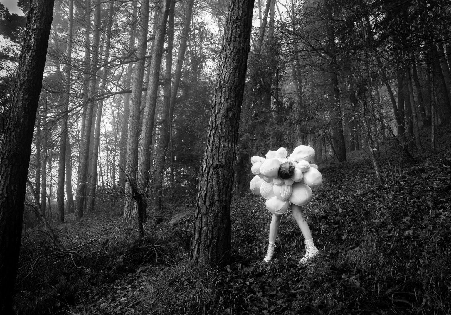 KOKON III - Miriam Ferstl 