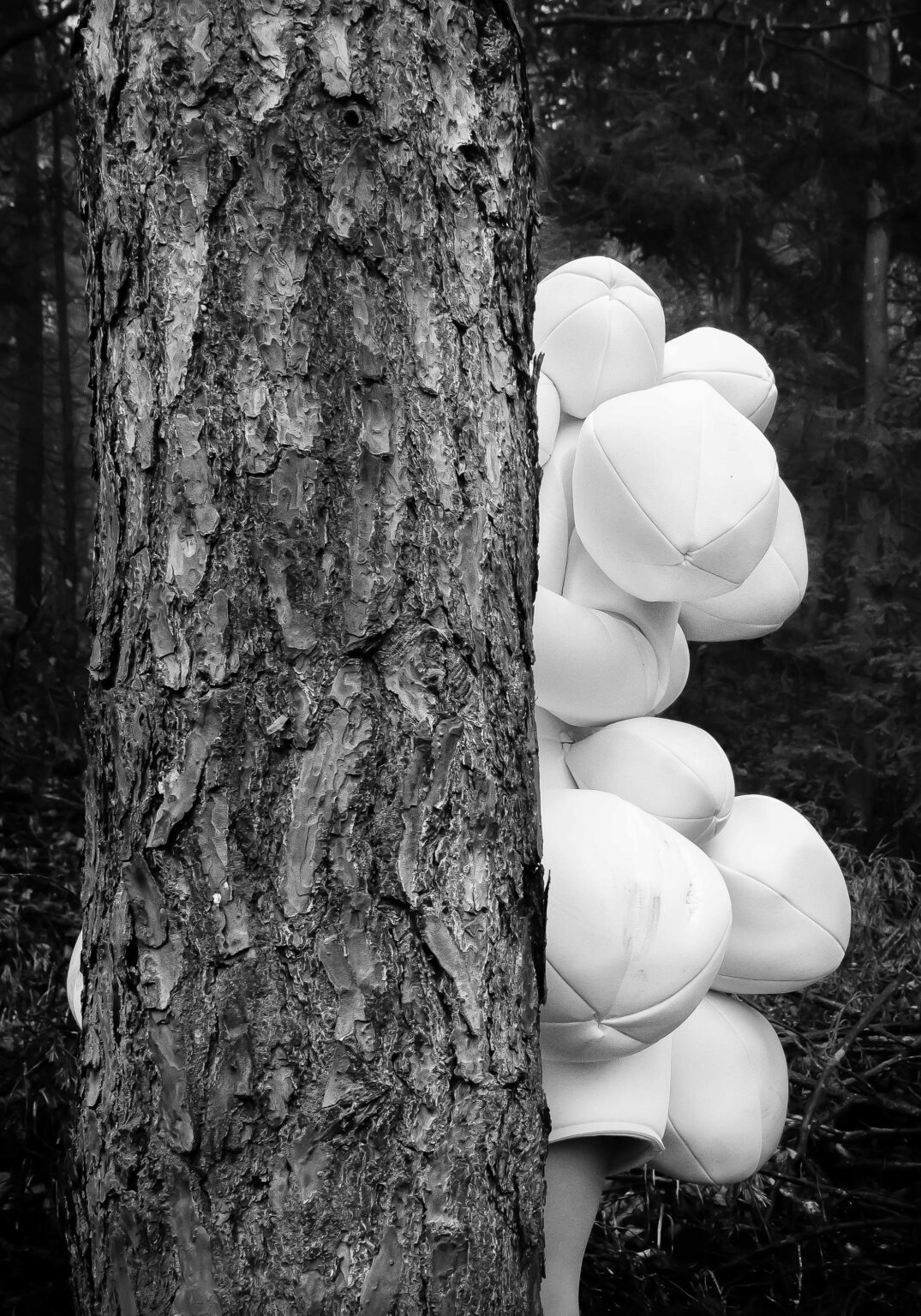 KOKON IV - Miriam Ferstl 