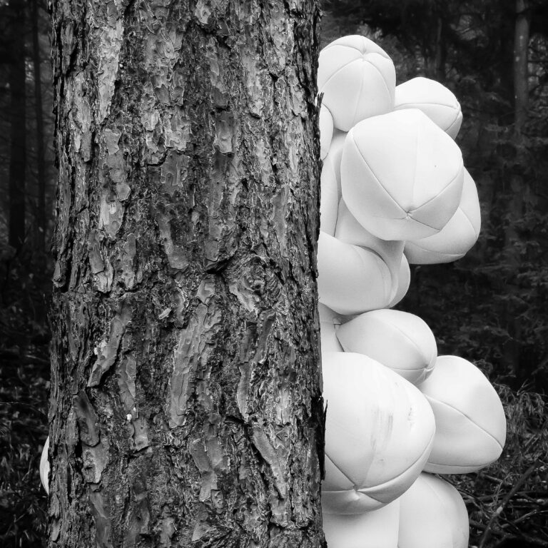 KOKON IV - Miriam Ferstl 