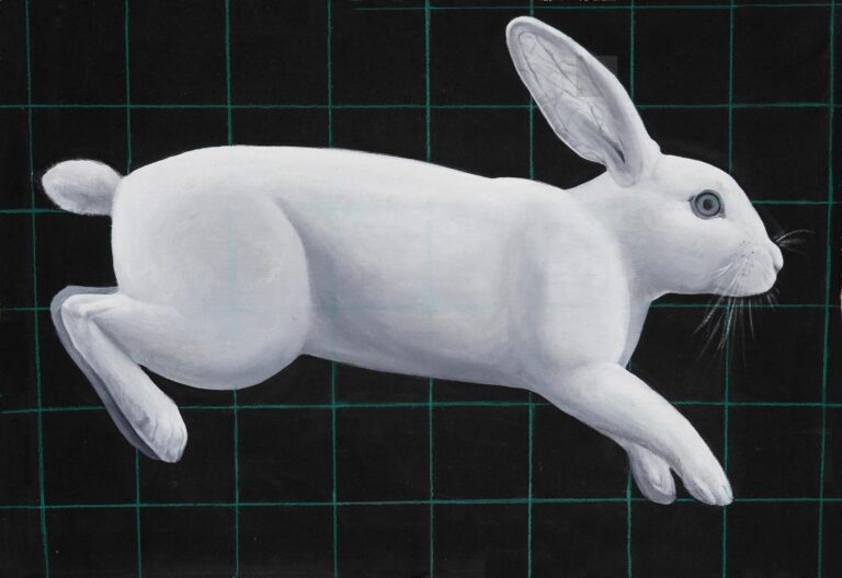 Rabbit - Yiming Wang 