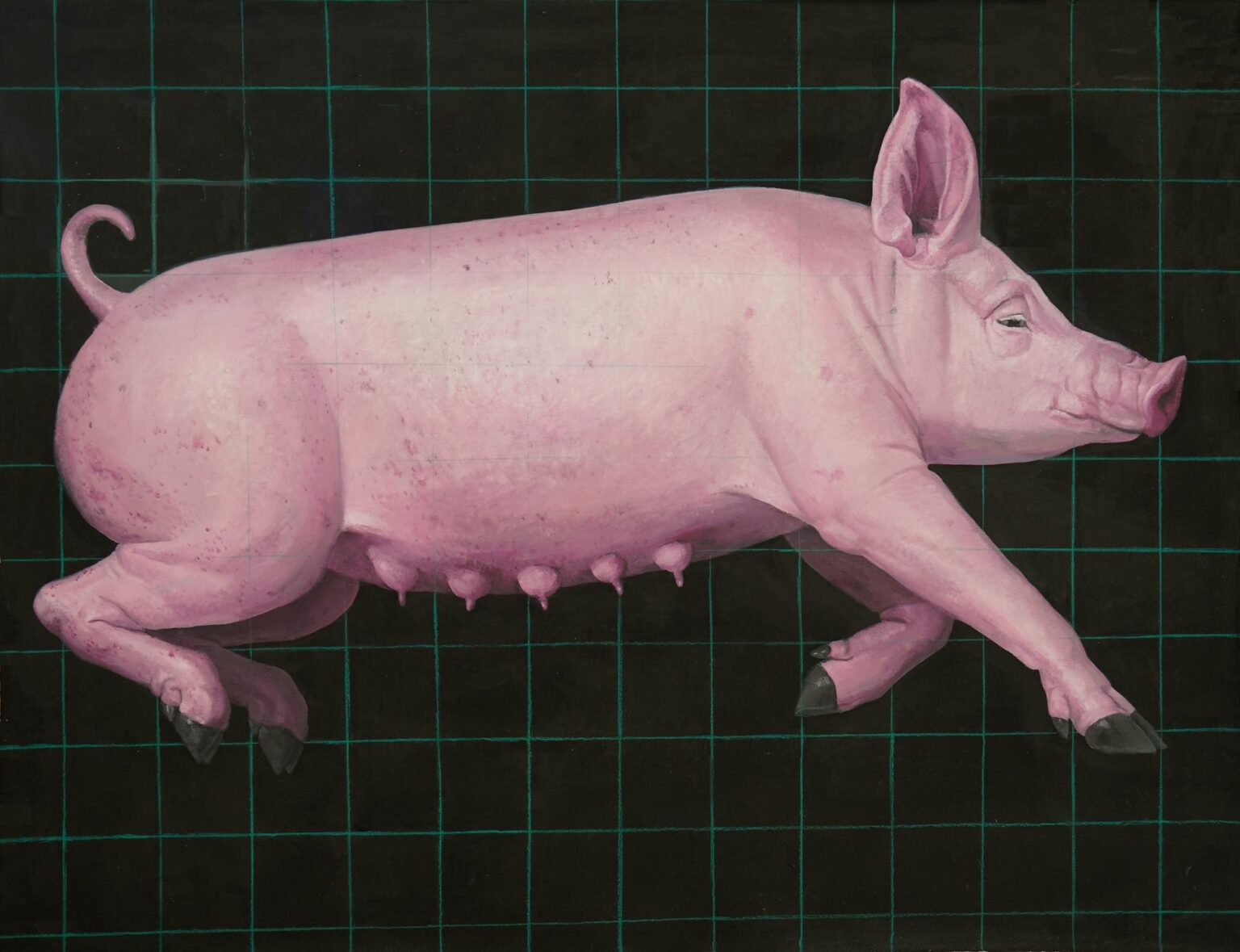 Pig - Yiming Wang 