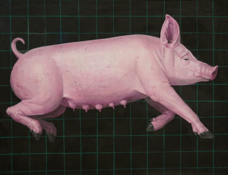 Pig - Yiming Wang 