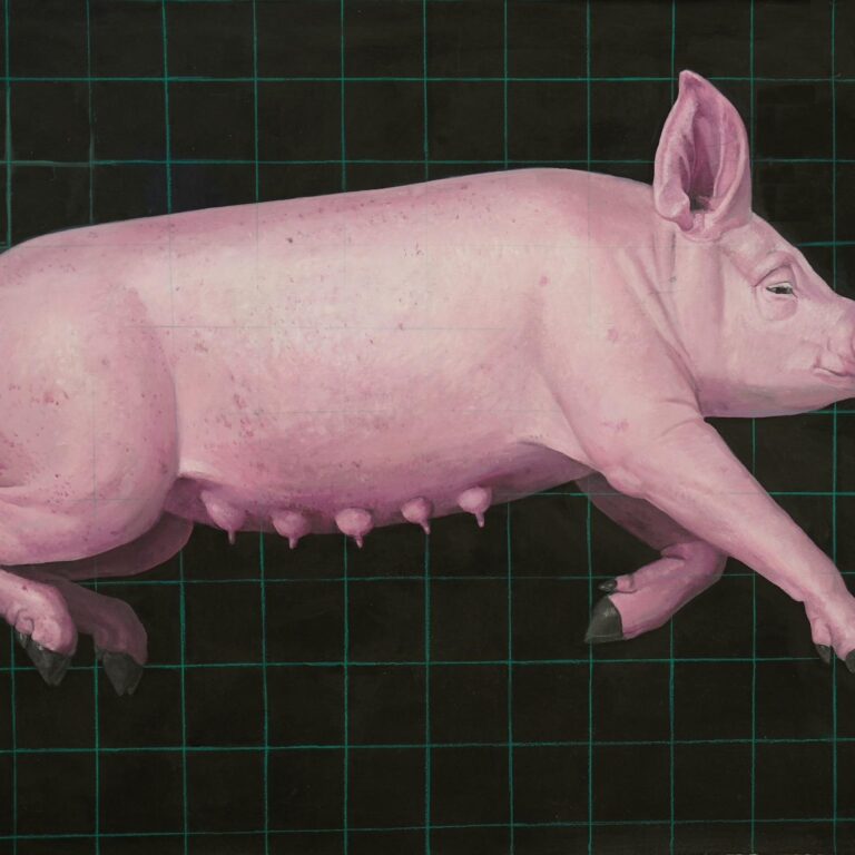 Pig - Yiming Wang 