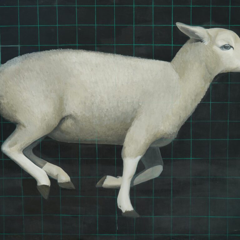 Sheep - Yiming Wang 