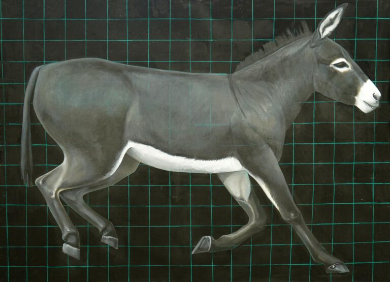 Donkey - Yiming Wang 