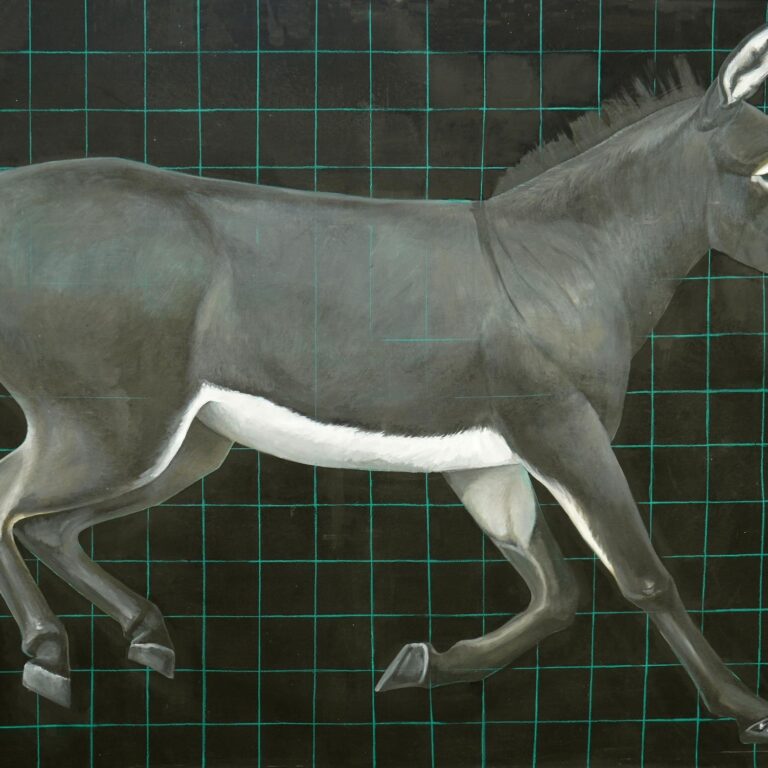 Donkey - Yiming Wang 