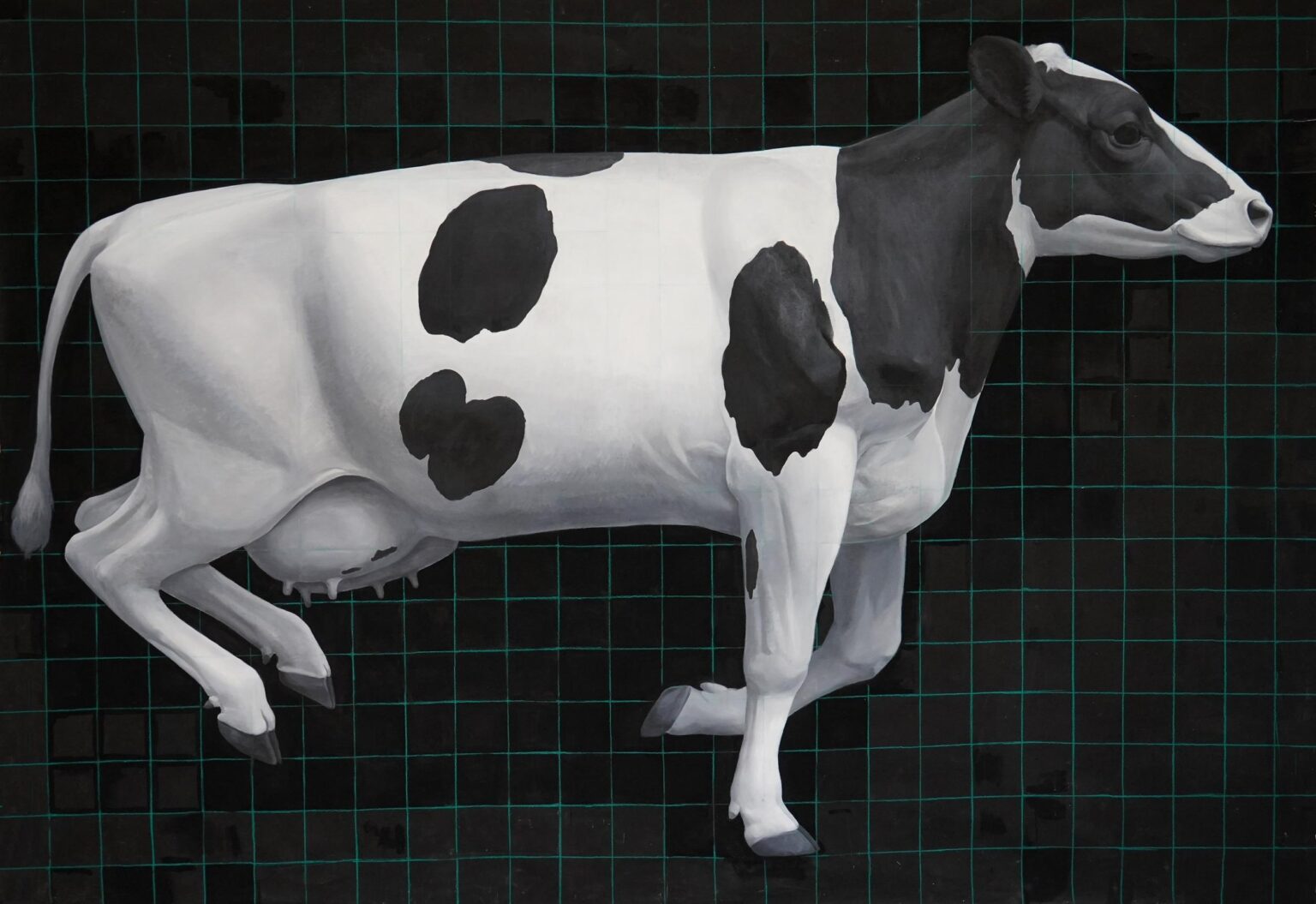 Cow - Yiming Wang 