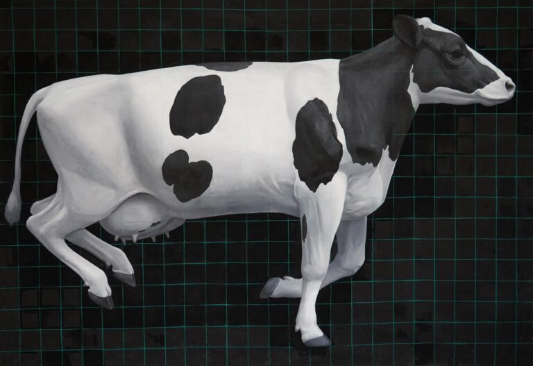 Cow - Yiming Wang 