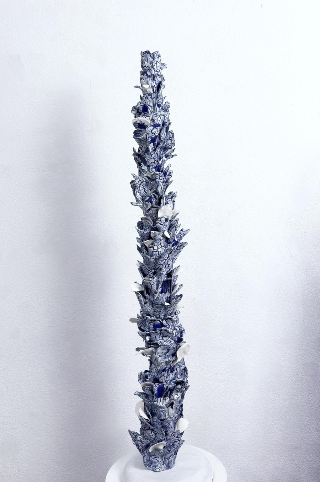 Vasa Trianoni Blue - Eduardo Palomares 