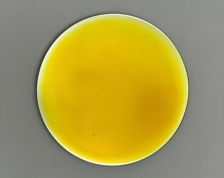 EVERGLOW 091-GOGE - ROSA M HESSLING 