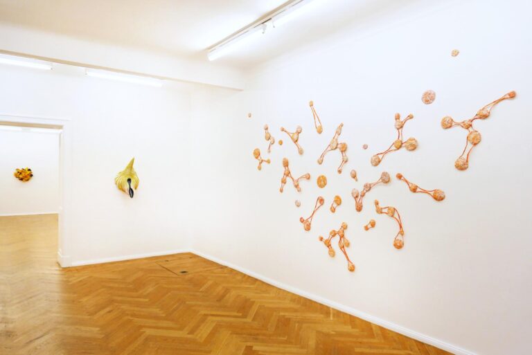 Wüstenblumen - ALEXANDRA DEUTSCH 