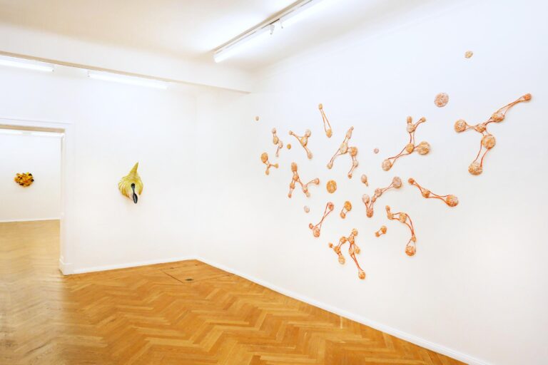 Wüstenblumen - ALEXANDRA DEUTSCH 