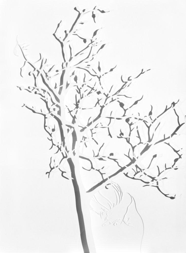 Ortung - ESTHER GL&Uuml;CK 