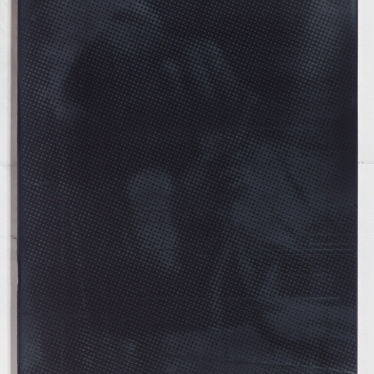 Hidde van Seggelen is pleased to present the first exhibition in Germany of London-based artist Damian Taylor. 