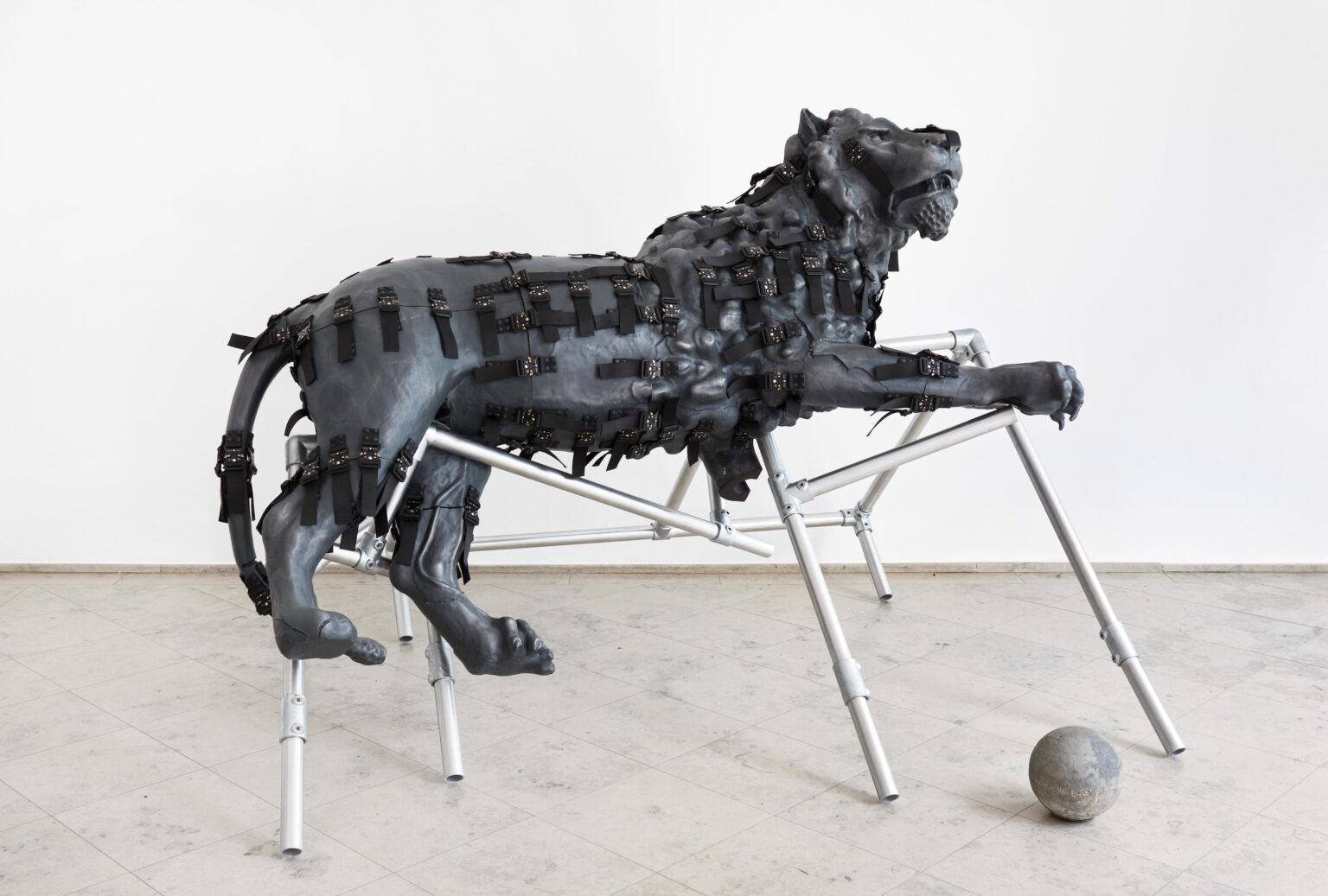 Reclining Lion - Siobhán Hapaska 