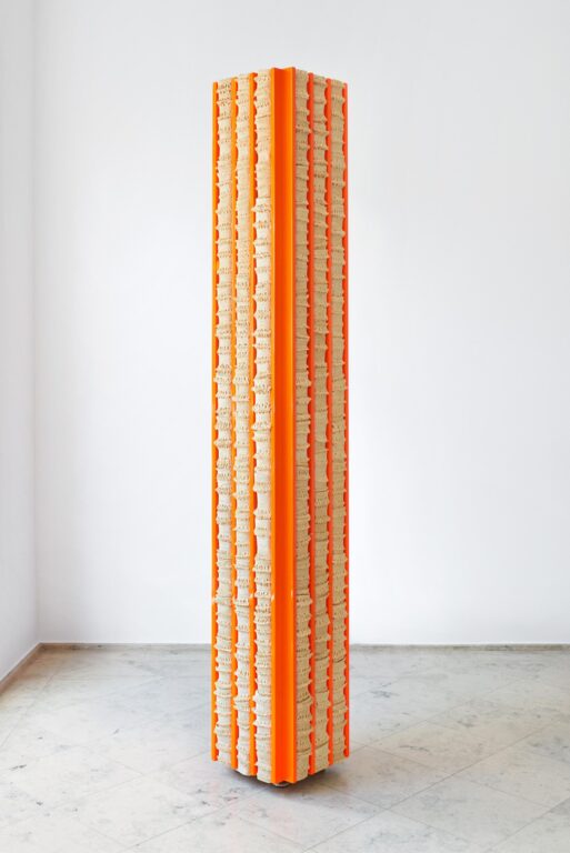 Lung - Siobhán Hapaska 