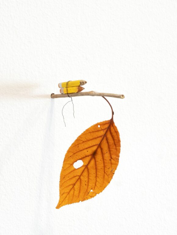 Untitled - Morgan Betz 