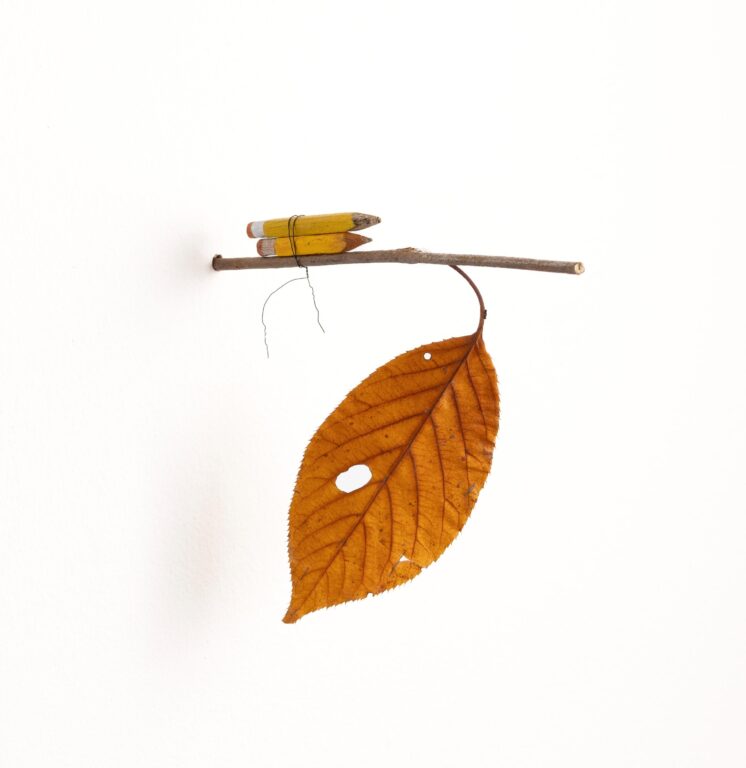 Untitled - Morgan Betz 