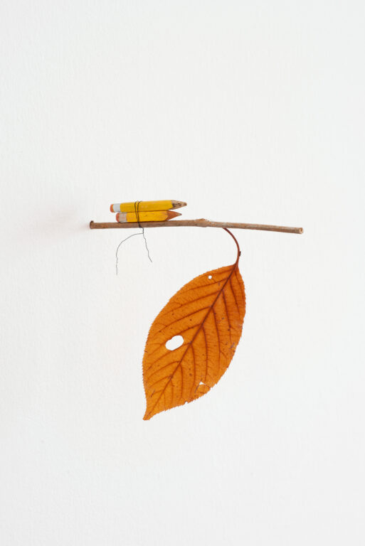 Lutz Driessen & Morgan Betz, Ketchup 