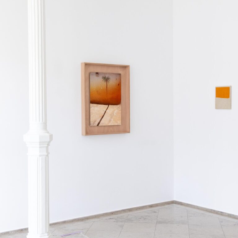 Carina Ellemers - Carina Ellemers 