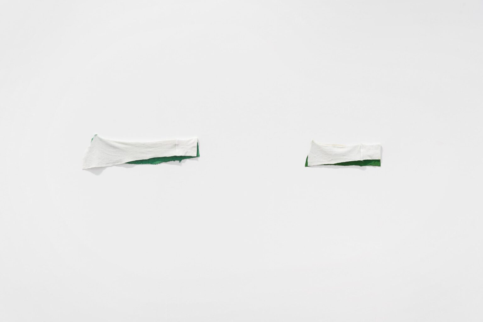 Zwei &Auml;rmel - Suchan Kinoshita 