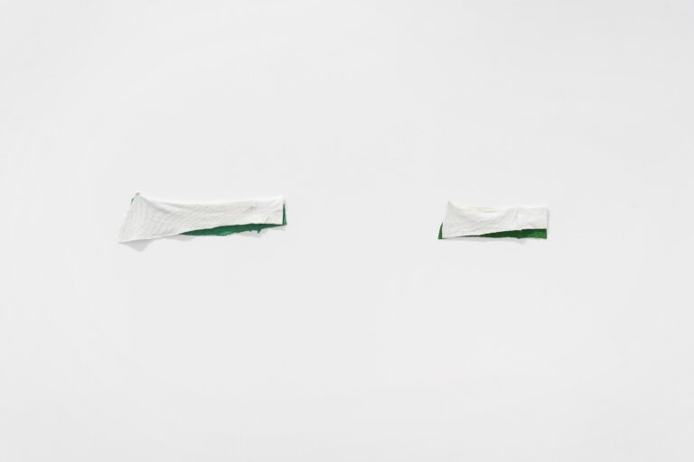 Zwei Ärmel - Suchan Kinoshita 