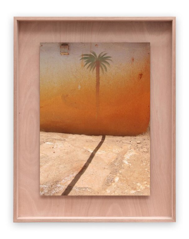 Palm en schaduw - Carina Ellemers 