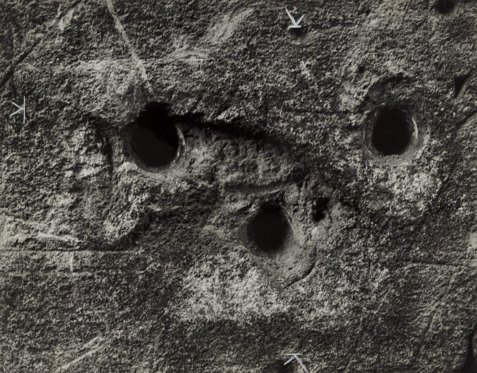 Untitled (La Naissance de L&rsquo;Homme) &ndash; Graffiti 