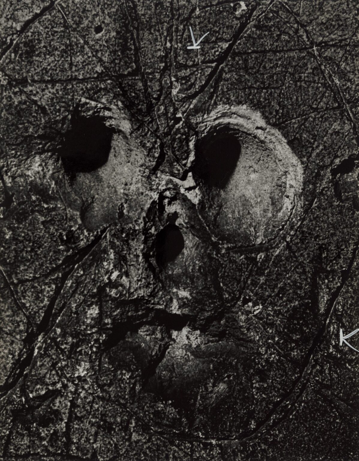 Untitled (La Naissance de L&rsquo;Homme) &ndash; Graffiti 