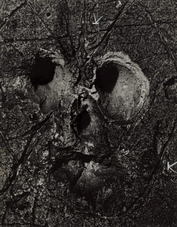 Untitled (La Naissance de L’Homme) – Graffiti 