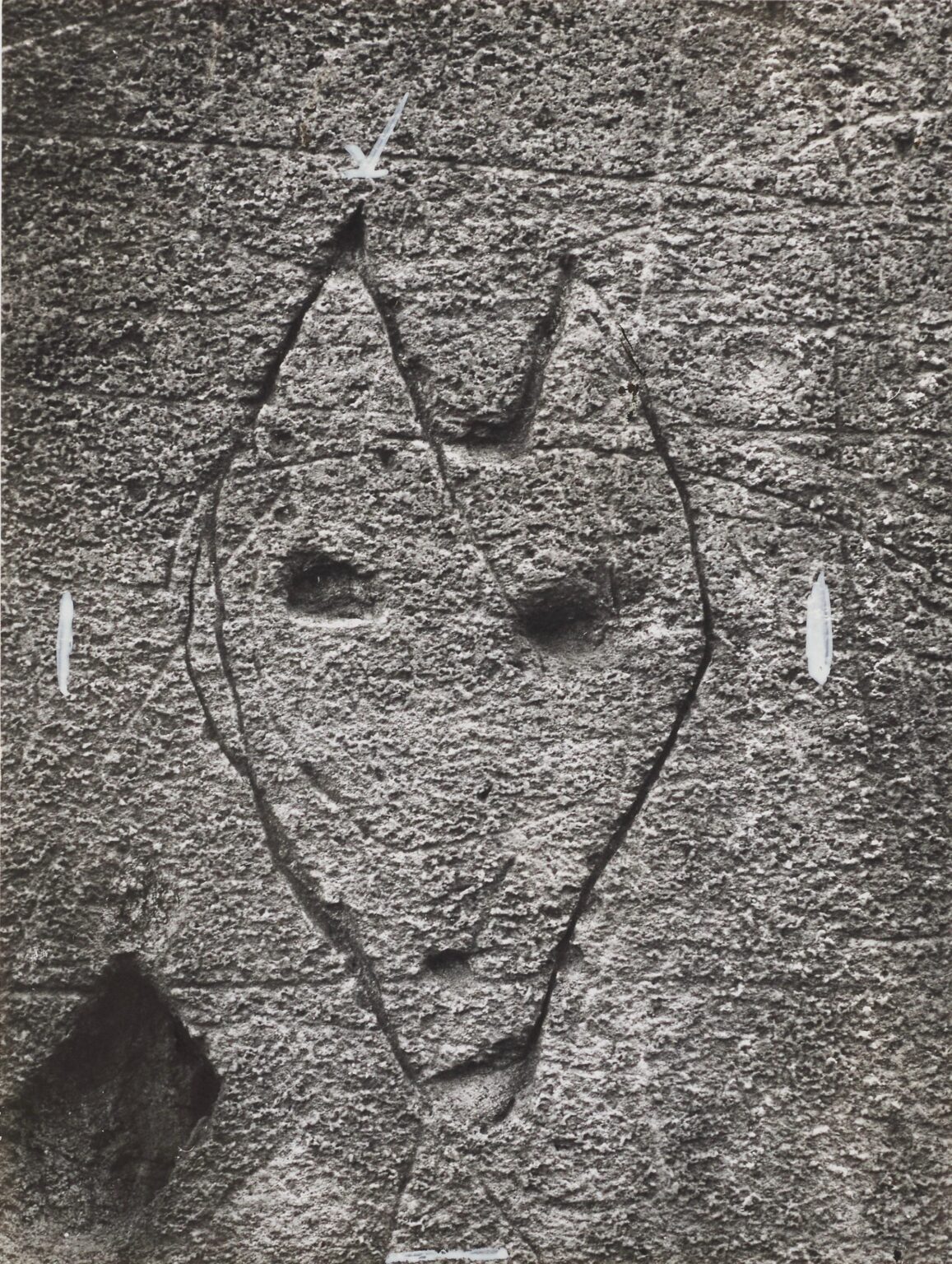 Untitled (Animaux) &ndash; Graffiti - Brassa&iuml; 