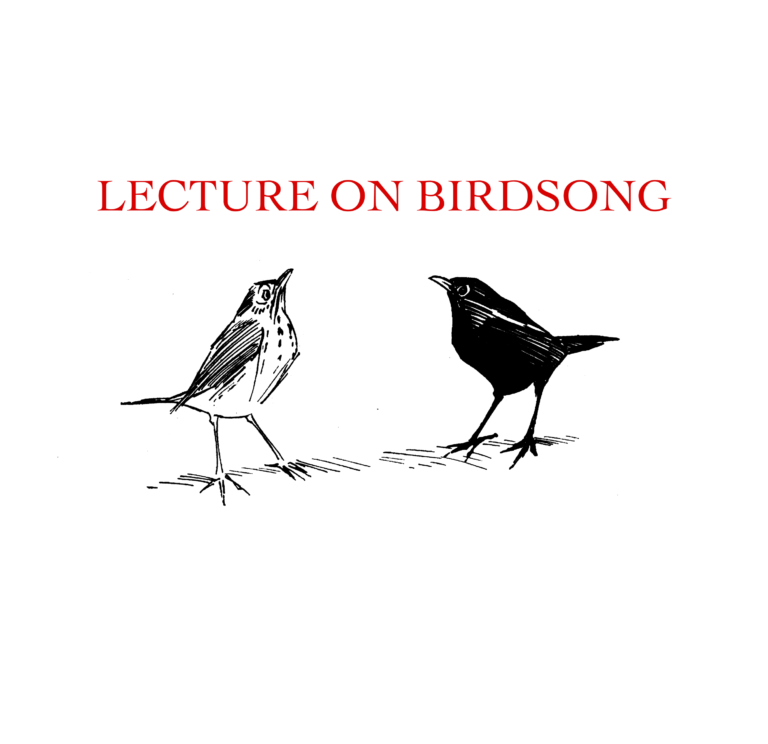 Andy Holden – Lecture on Birdsong - Andy Holden 
