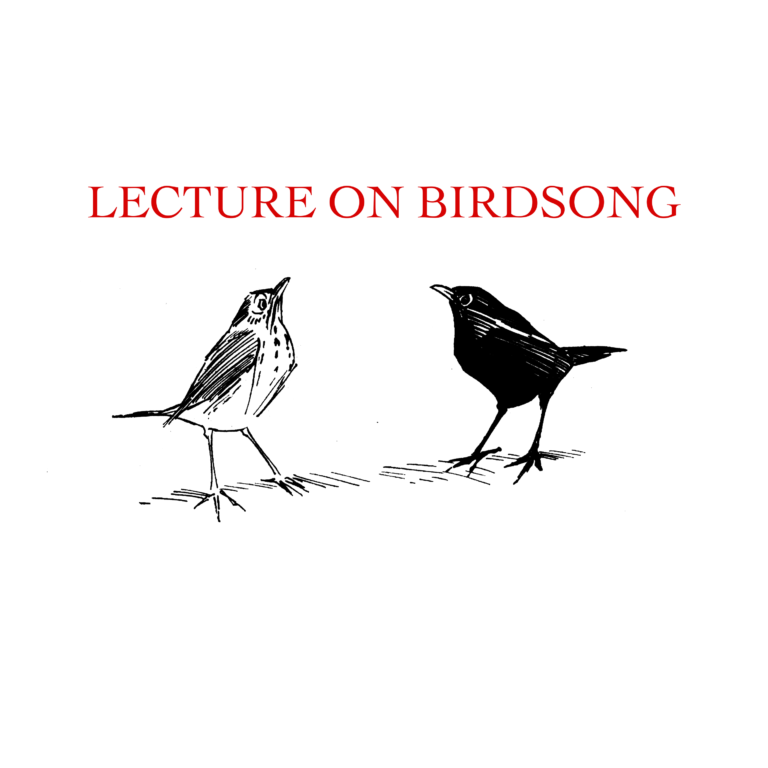 Andy Holden – Lecture on Birdsong - Andy Holden 