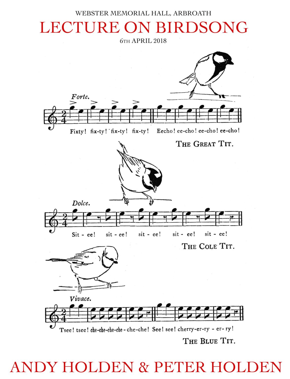 Lecture on Birdsong - Andy Holden 