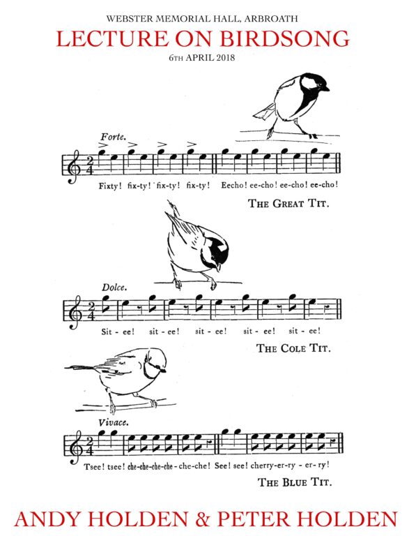 Lecture on Birdsong - Andy Holden 