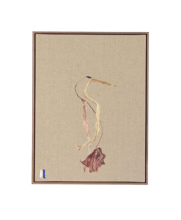 Bouquet (dedicated to Kazuo Ohno) - Suchan Kinoshita 
