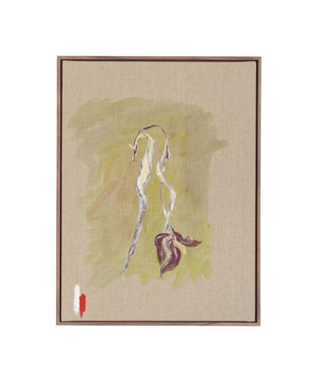 Bouquet (dedicated to Kazuo Ohno) - Suchan Kinoshita 