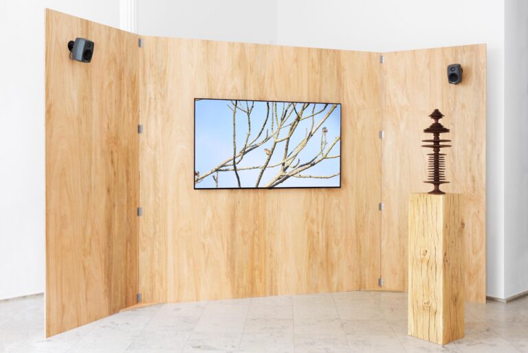 Andy Holden – Lecture on Birdsong 