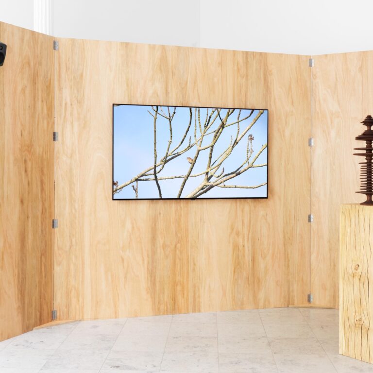 Andy Holden – Lecture on Birdsong 