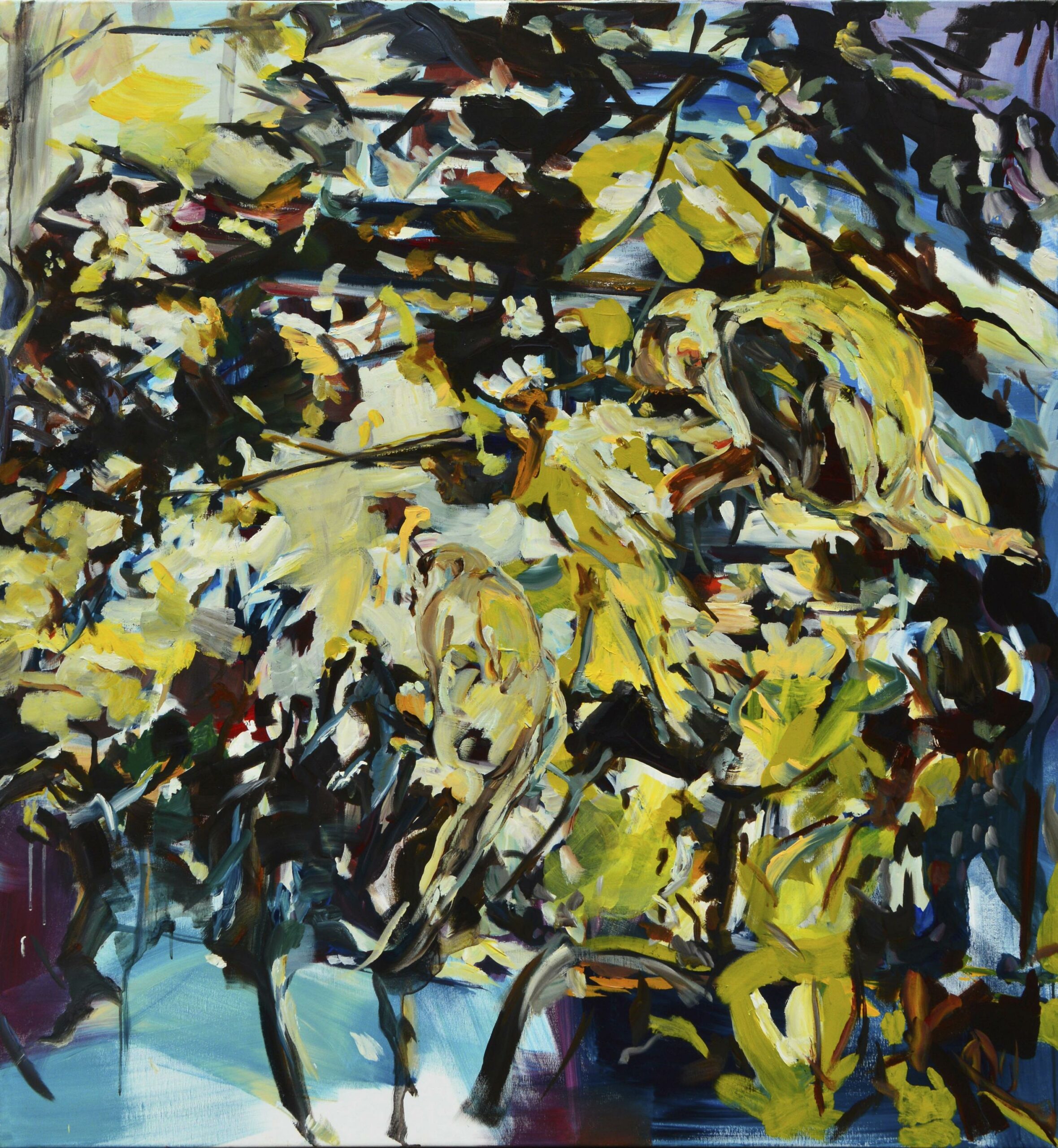 A Flung Festoon - Angelika T&oacute;th 