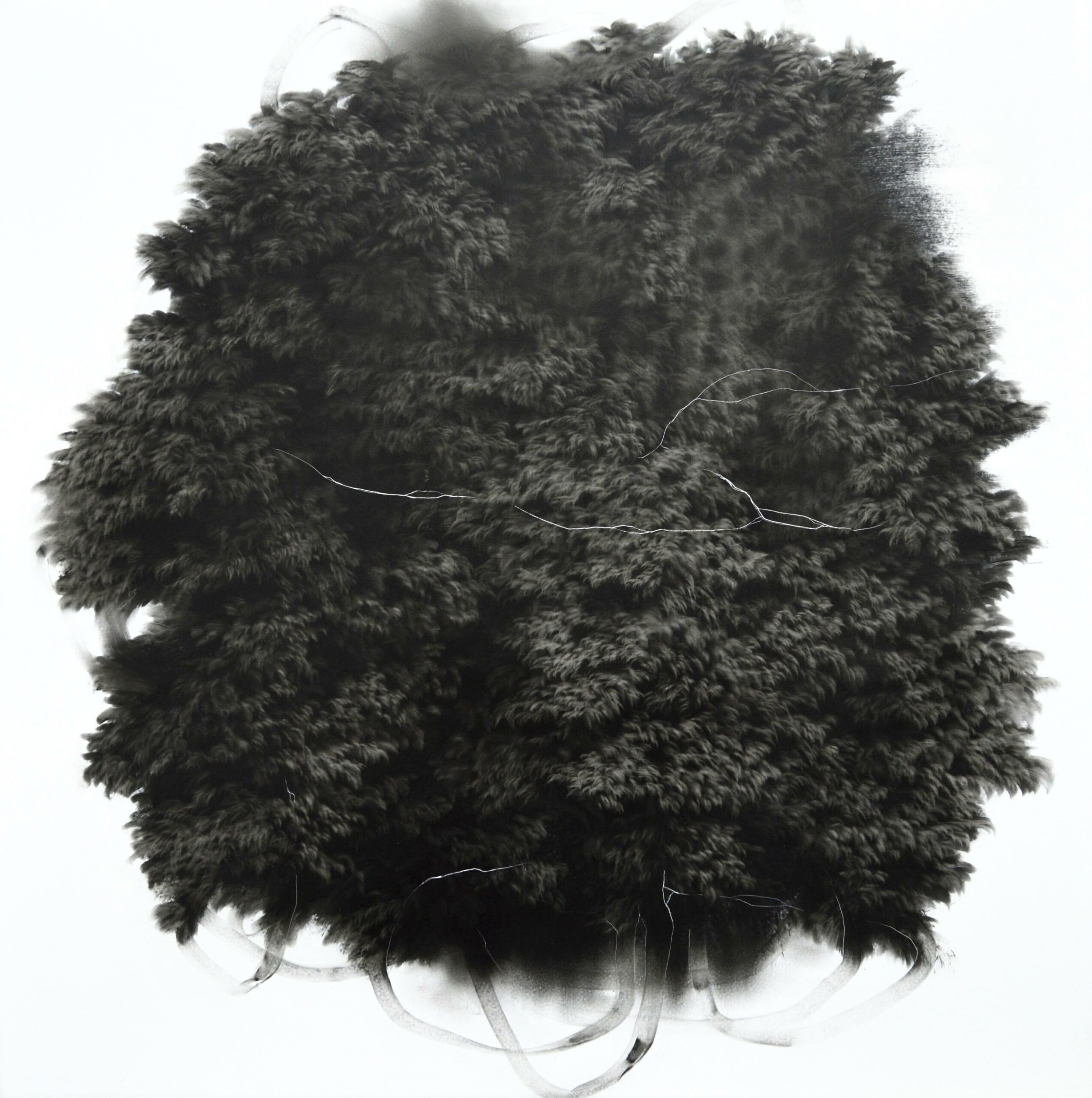 g19][162d - Giulia Dall'Olio 