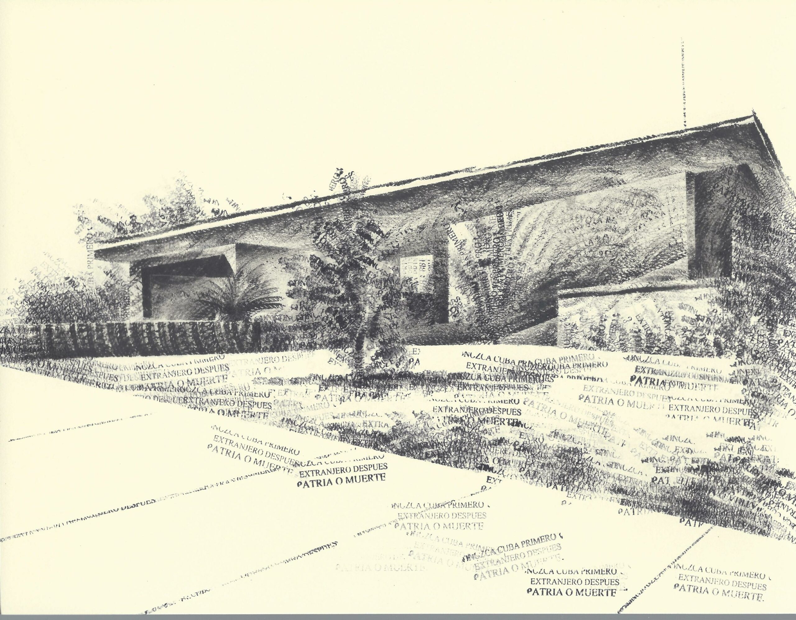 Esta es tu casa Fidel #11 - Kelvin L&oacute;pez 