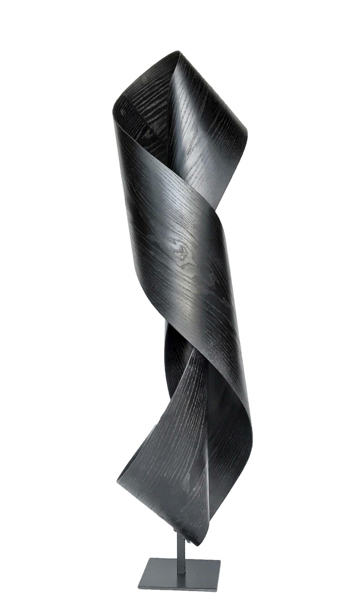 Sinuous 12 - Jeremy Holmes 