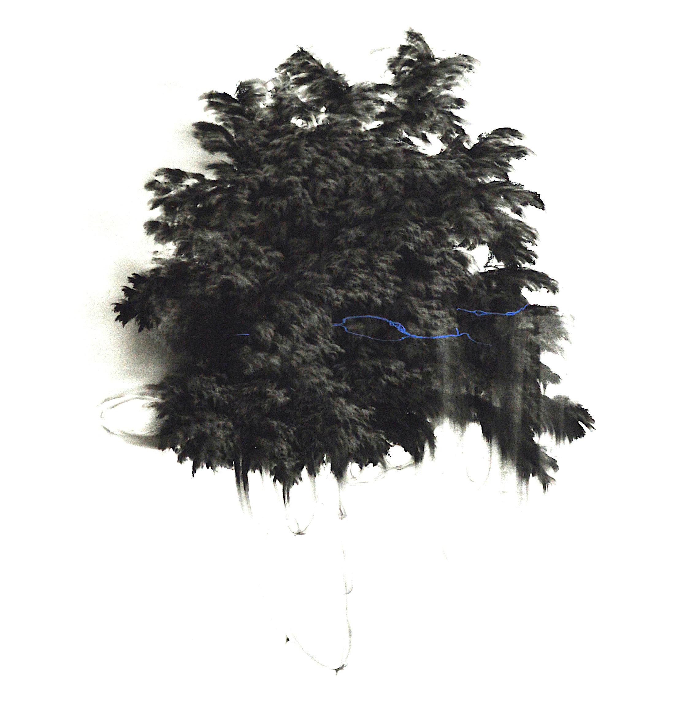 g19][127d - Giulia Dall'Olio 