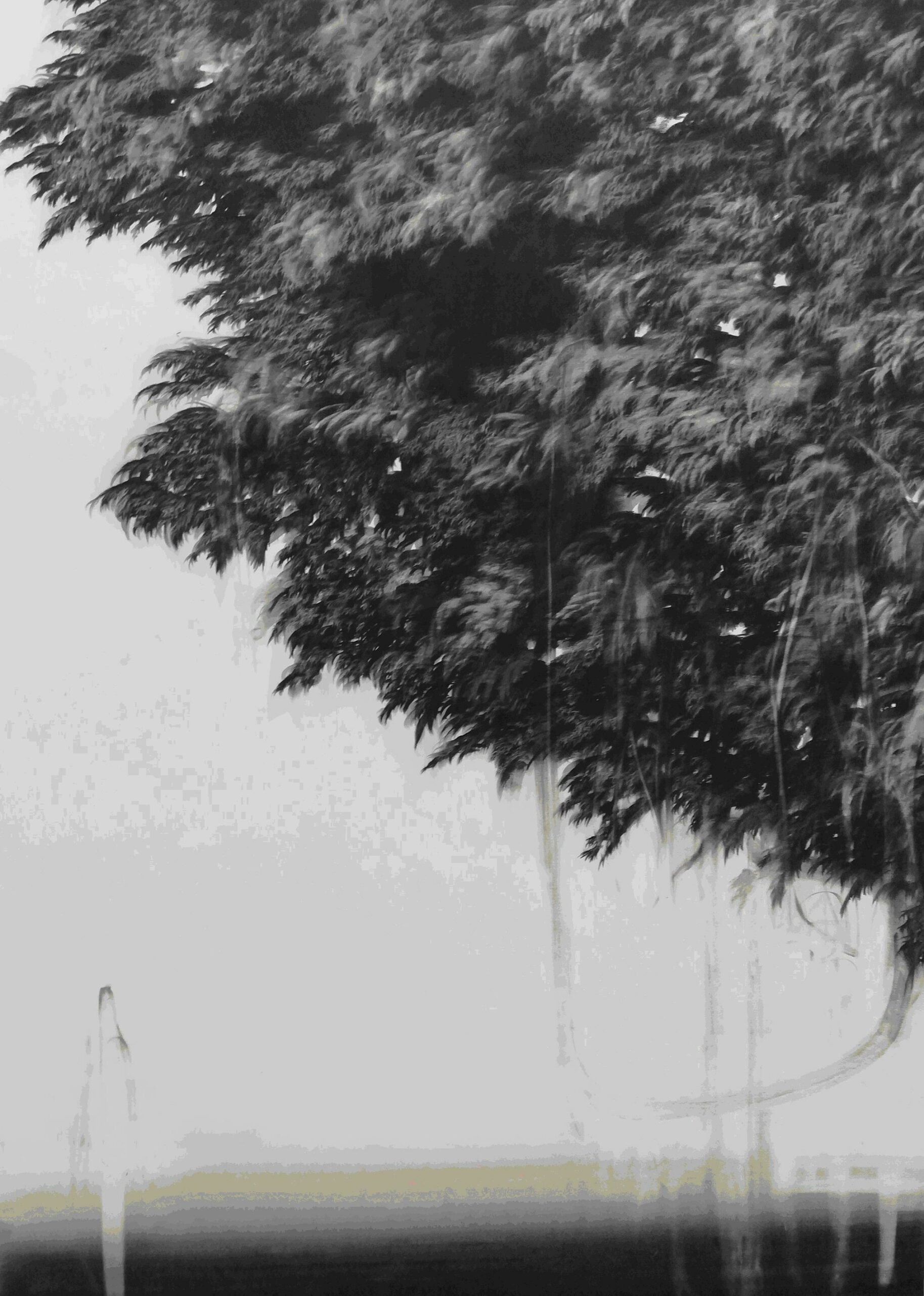 g19][100d - Giulia Dall'Olio 