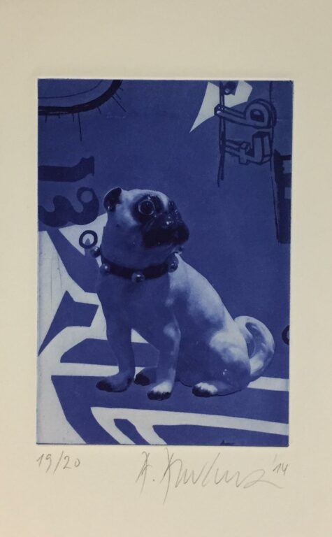 o.T. (Mops) - Andreas  Amrhein 